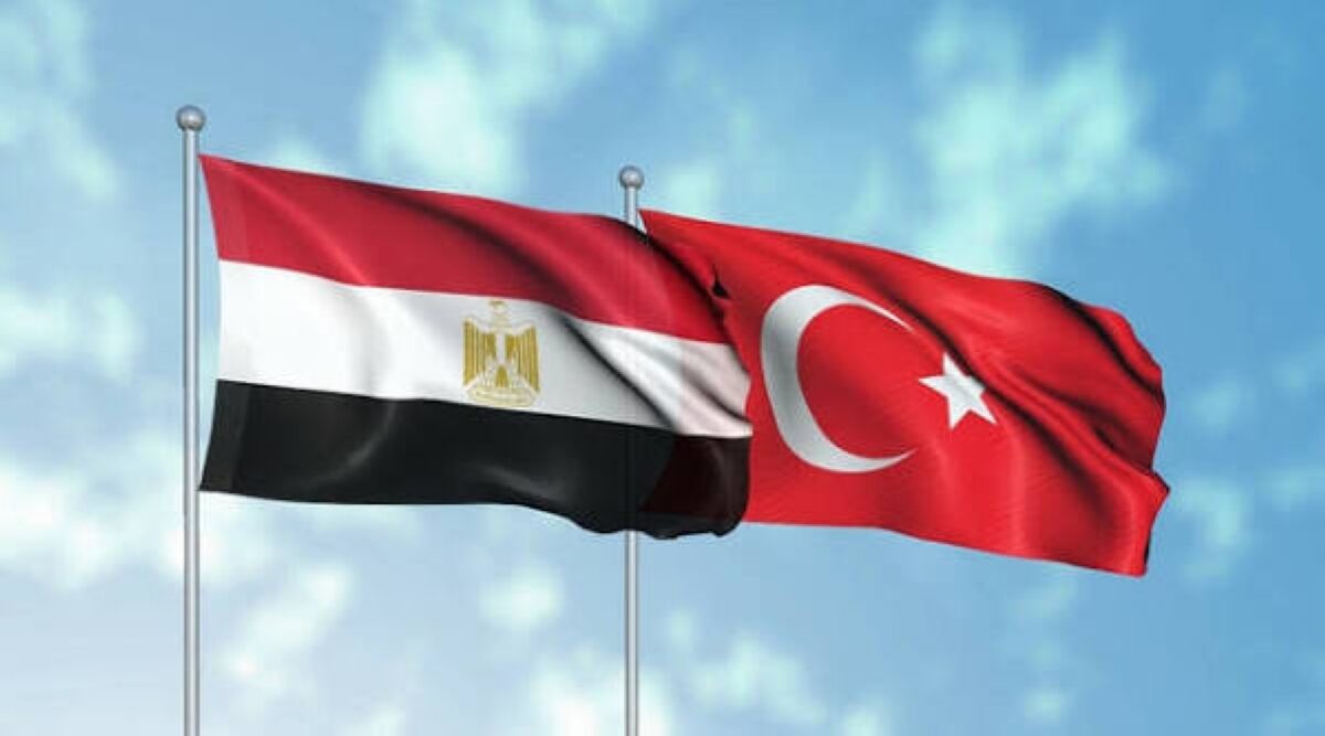 مصر وتركيا تؤكدان أهمية دعم المسارات السياسية